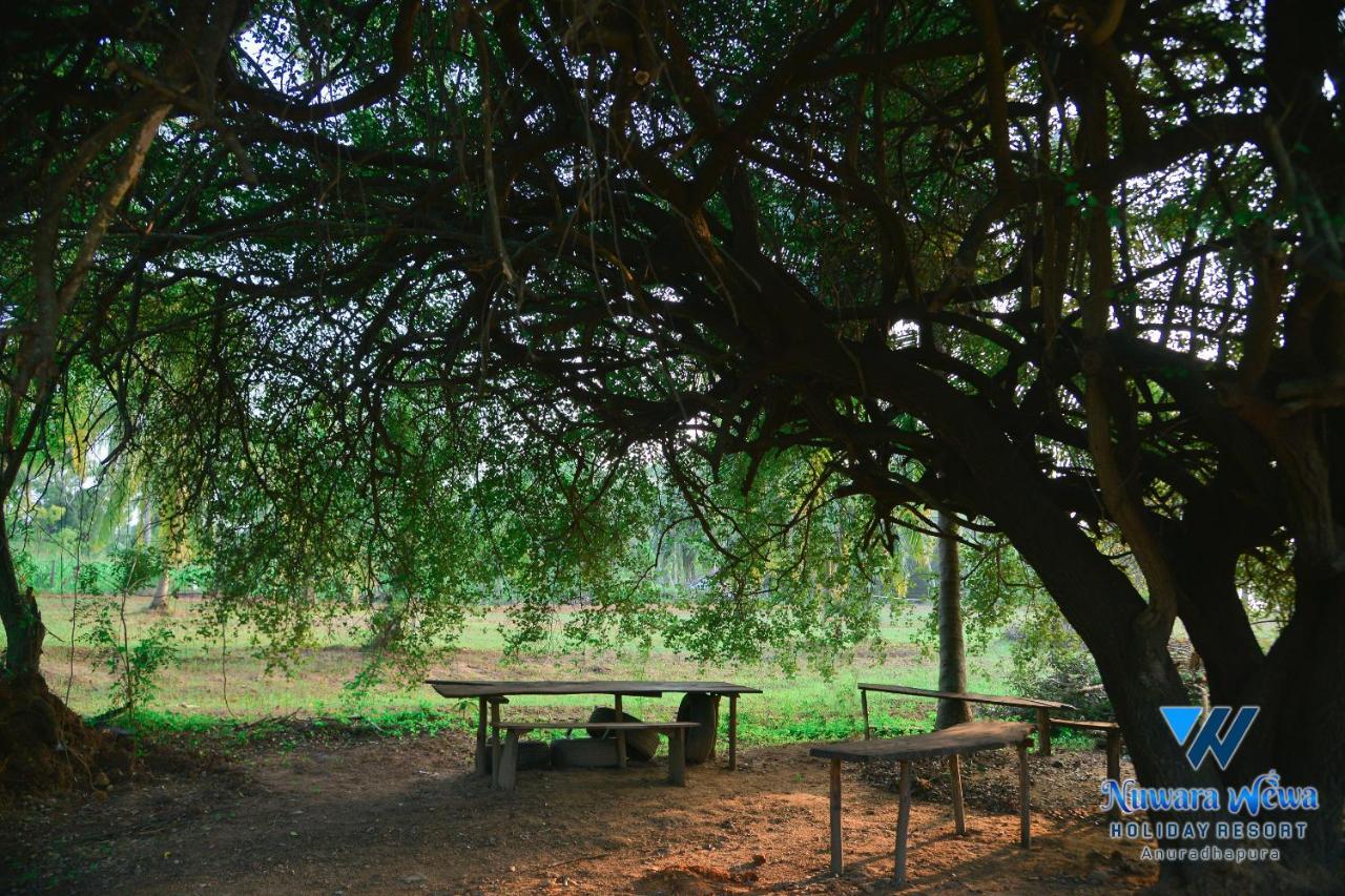 Nuwara Wewa Holiday Resort Anuradhapura Exterior photo
