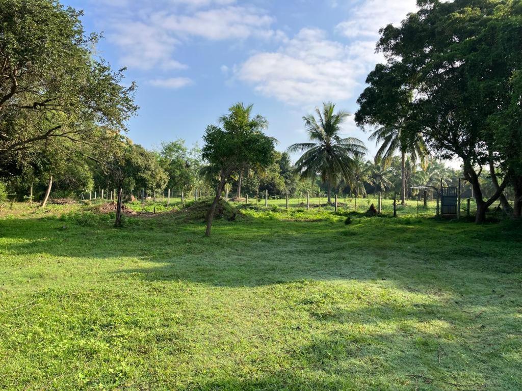 Nuwara Wewa Holiday Resort Anuradhapura Exterior photo